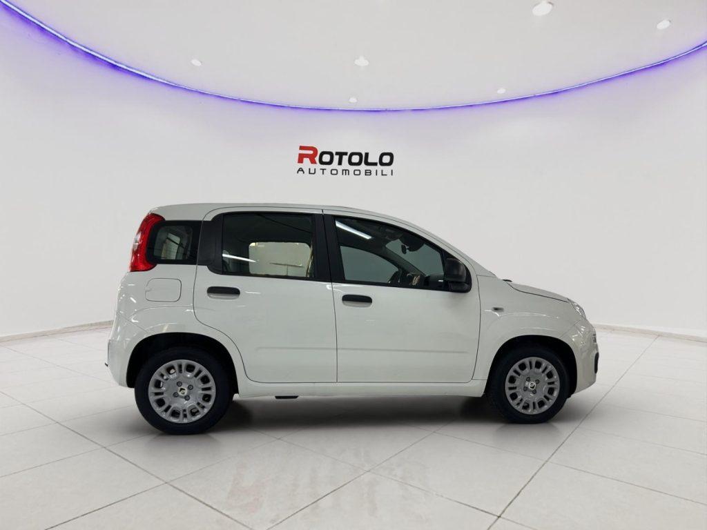 FIAT Panda 3ª serie Panda 1.0 FireFly S&S Hybr...