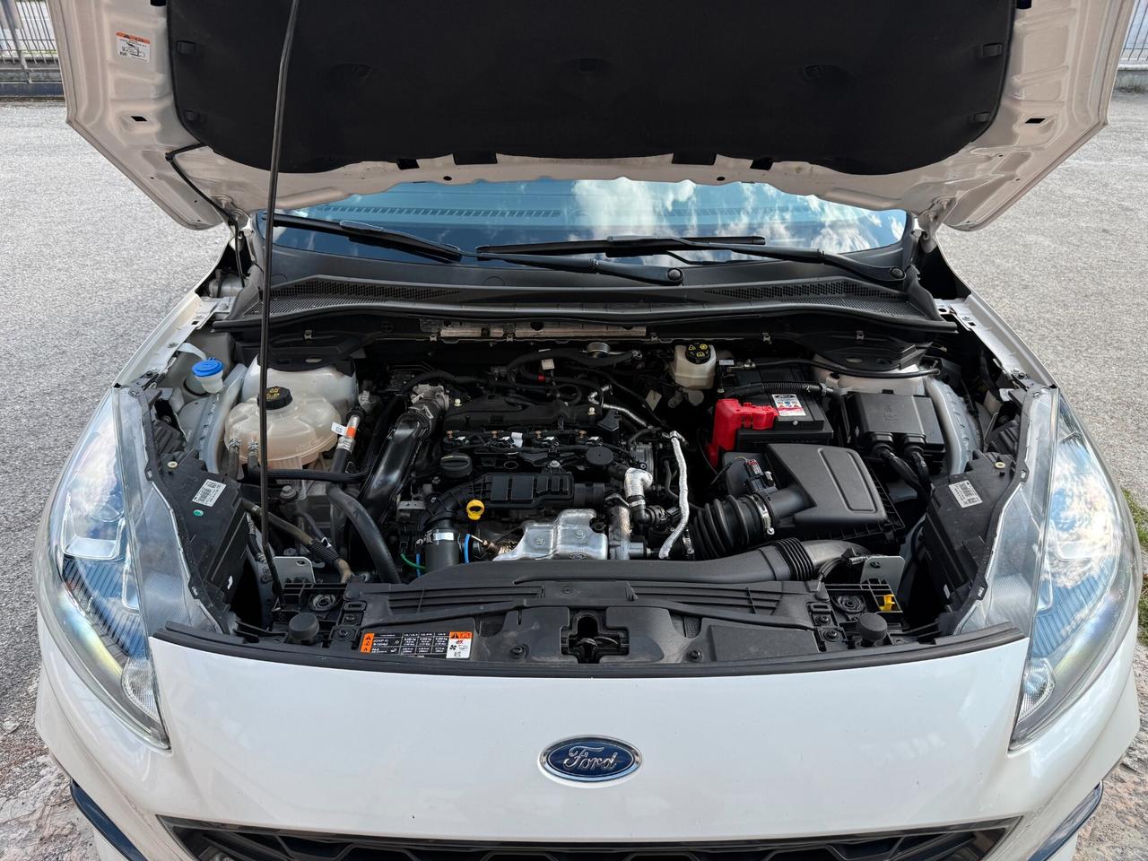 Ford Kuga 1.5 EcoBlue 120 CV aut. 2WD ST-Line X