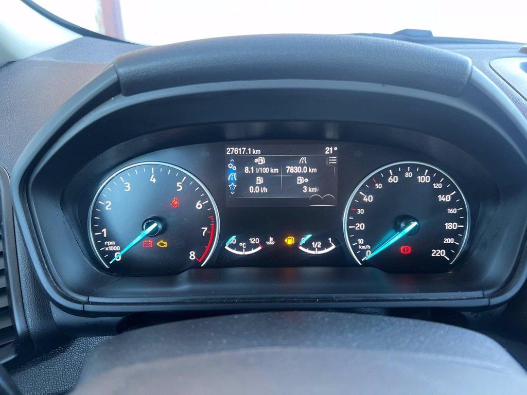 FORD EcoSport 1.0 EcoBoost 125 CV Start&Stop Active del 2022