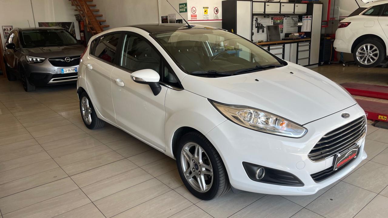 Ford Fiesta 1.5 TDCi 75CV 5 porte Black & White Edition
