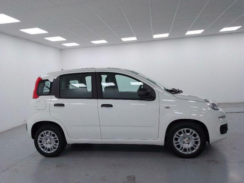 FIAT Pandina 1.0 firefly hybrid Icon s e s 70cv