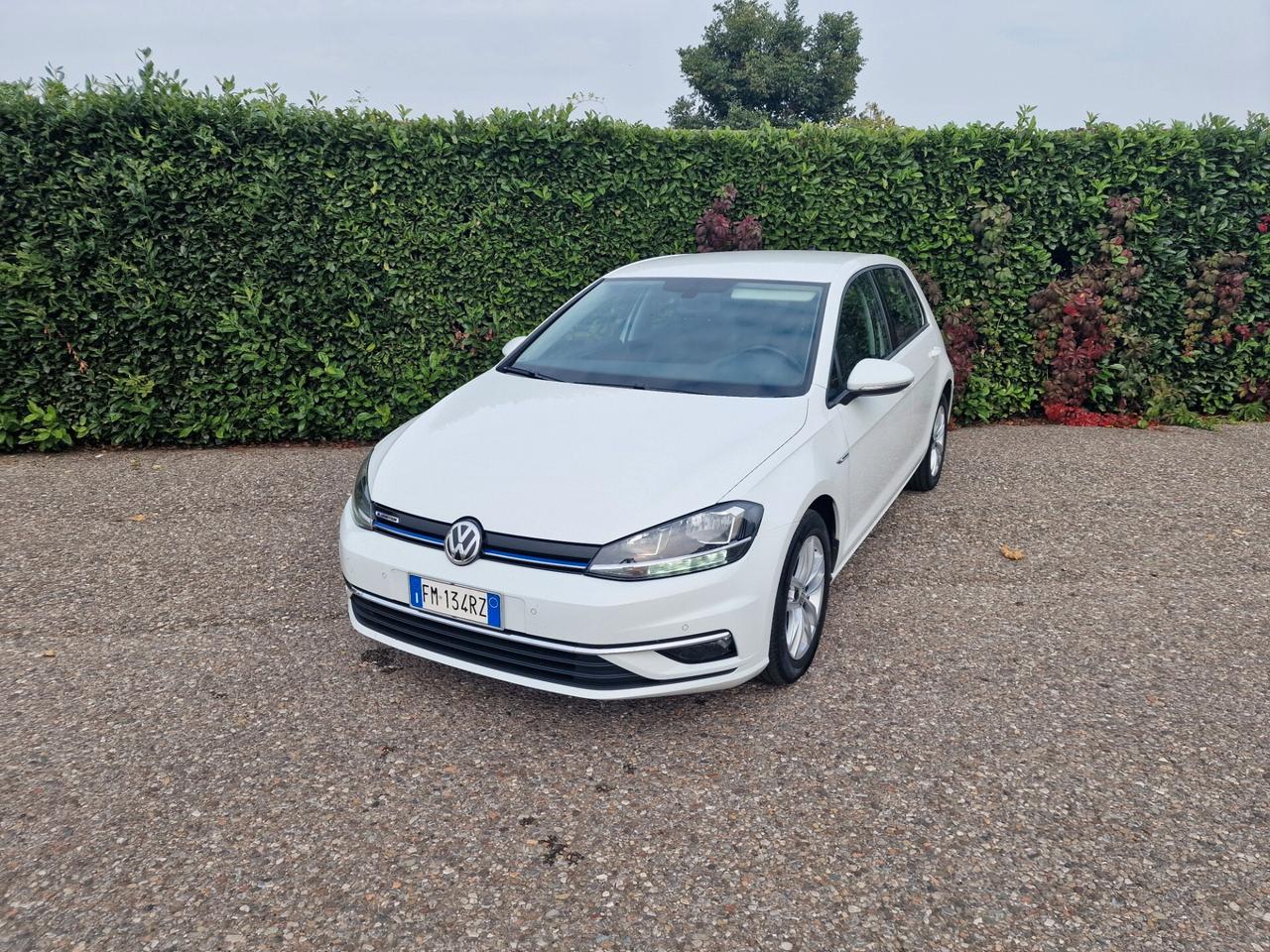 Volkswagen Golf 1.4 TGI 5p. Business BlueMotion