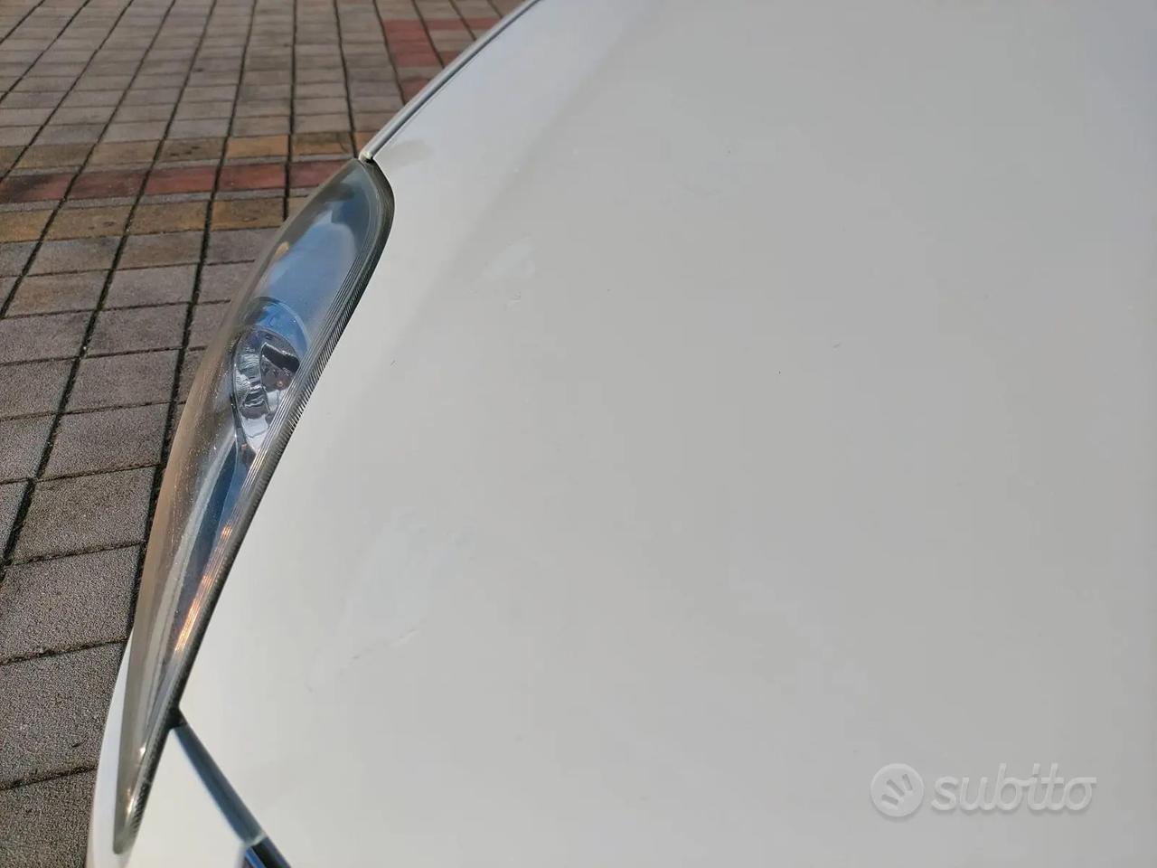 Fiat Punto Evo 5p 1.2 Dynamic 65cv Neopatentati