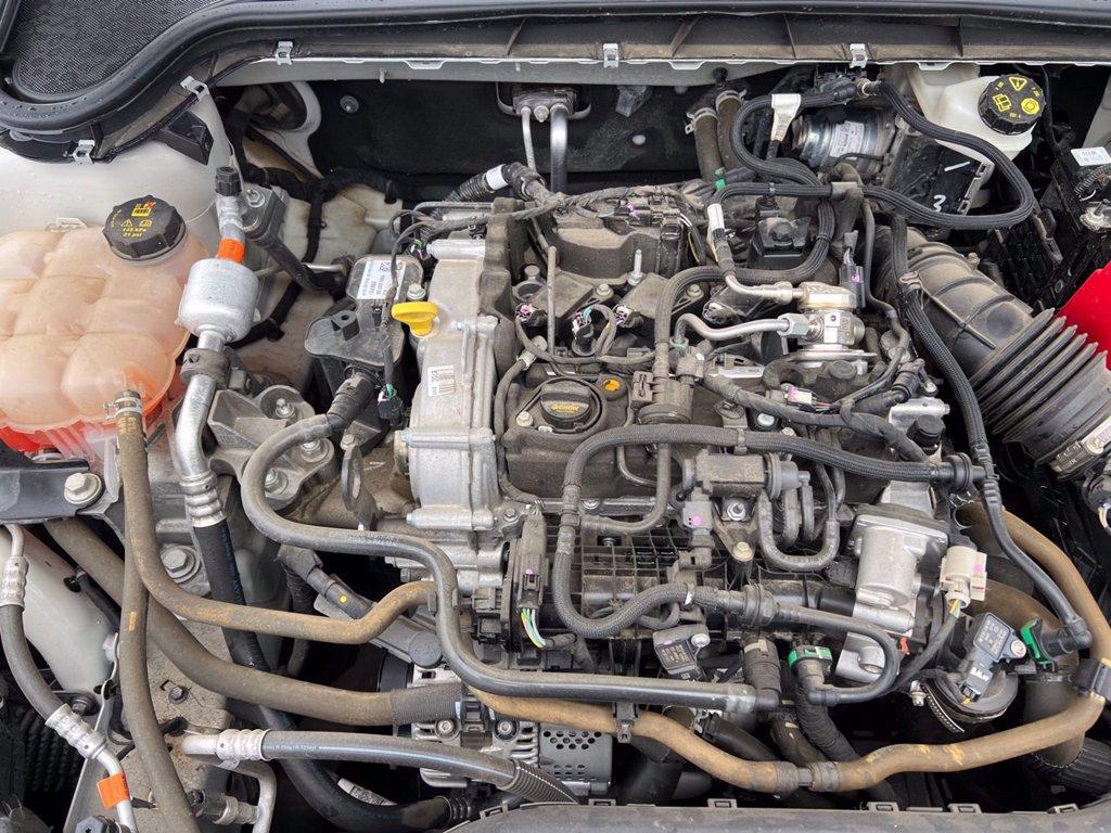 FORD Focus 1.0 EcoBoost Hybrid 125 CV 5p. Business del 2022