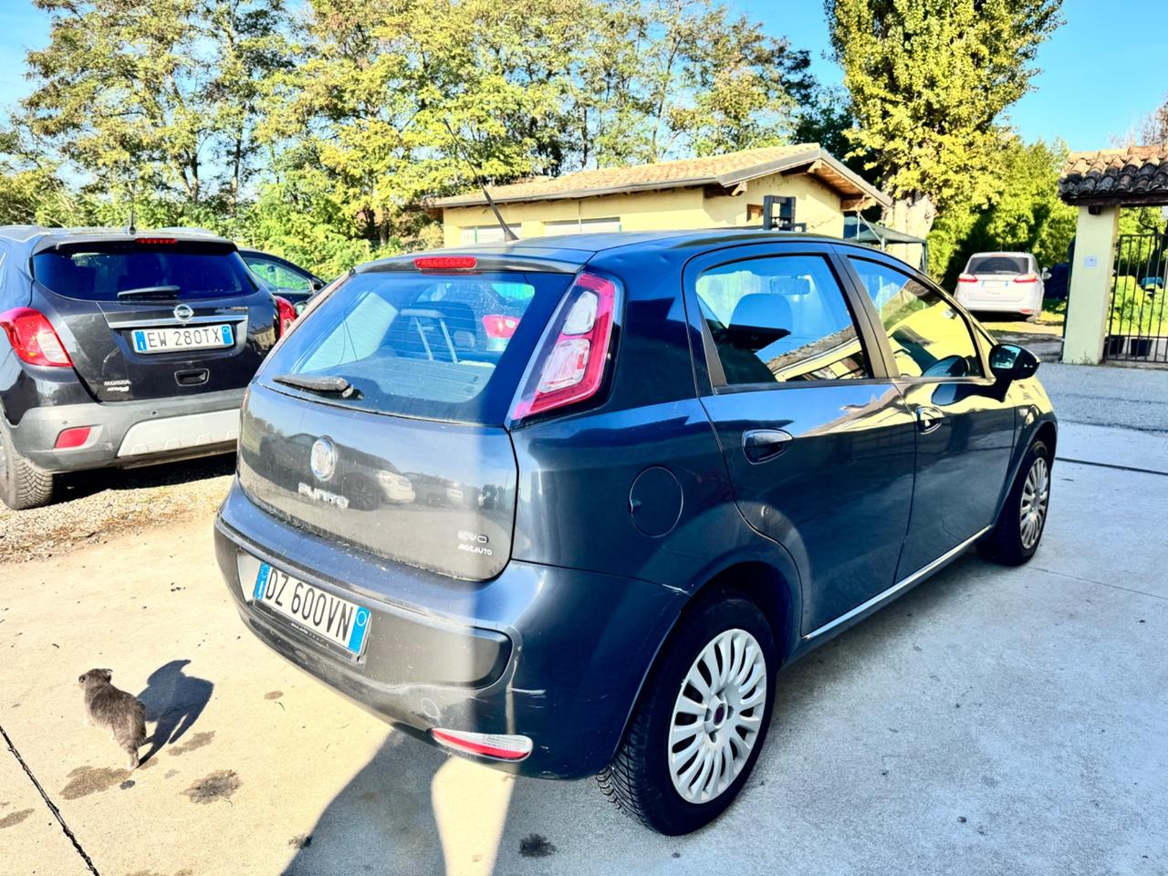 Fiat Punto Evo 1.2 5 porte Dynamic