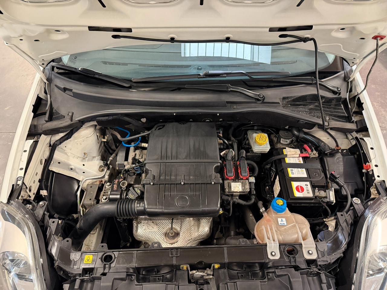 Fiat Punto Evo 1.2 5 porte Active