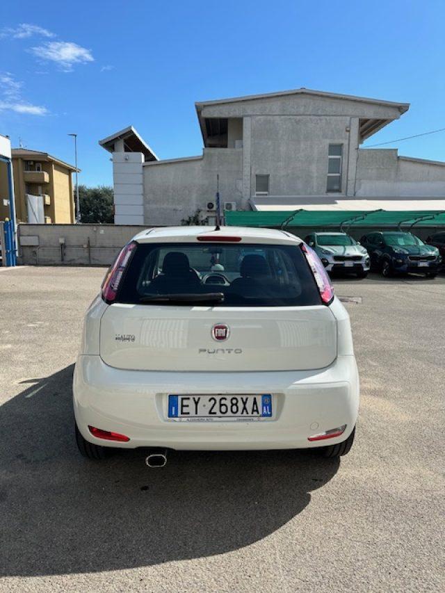 FIAT Punto 1.4 8V 5 porte Easypower Young