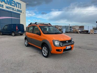 Fiat Panda 1.3 MJT 16V 4x4 Cross 2006
