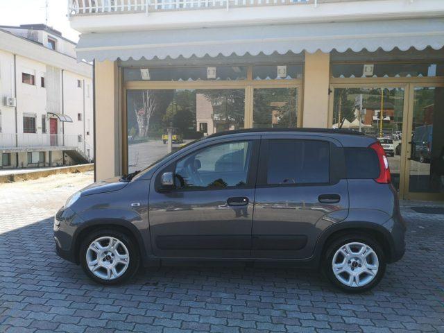 FIAT Panda 1.0 FireFly S&S Hybrid Garmin-NEOPATENTATI