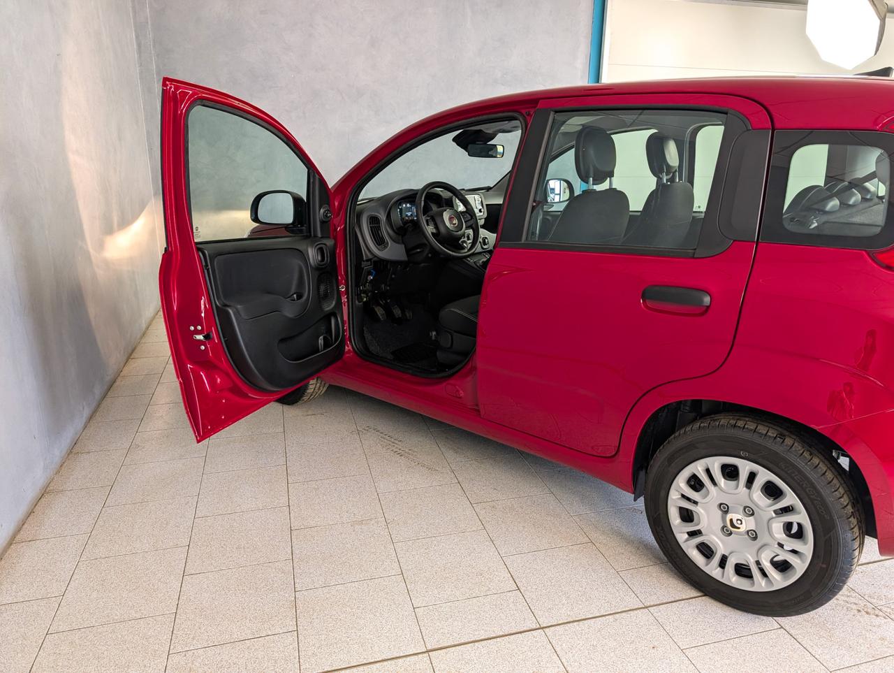 Fiat Panda 1.0 Hybrid 70cv Pandina Icon