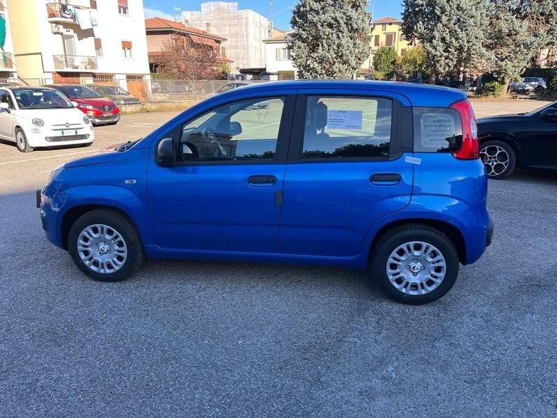 FIAT Panda Panda 1.0 FireFly S&S Hybrid Icon