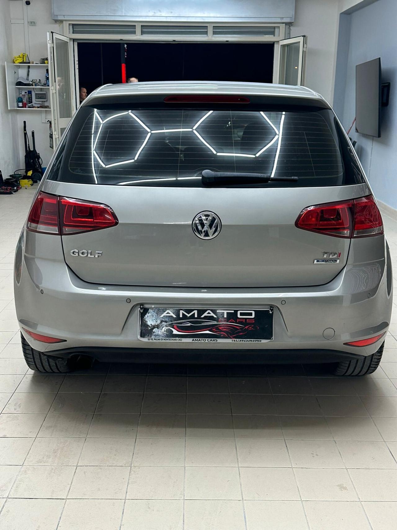 Volkswagen Golf 1.6 TDI 110 CV BlueMotion