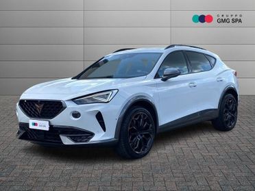 Cupra Formentor 2.0 tsi VZ 245cv dsg