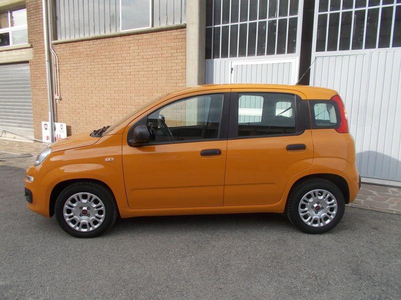 FIAT Panda 1.0 FireFly 70cv S&S Hybrid 338.7575187 MARCO MASSARI