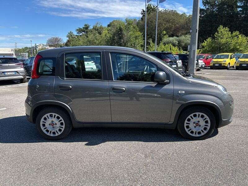 FIAT Panda New My23 1.0 70cv Hybrid Panda