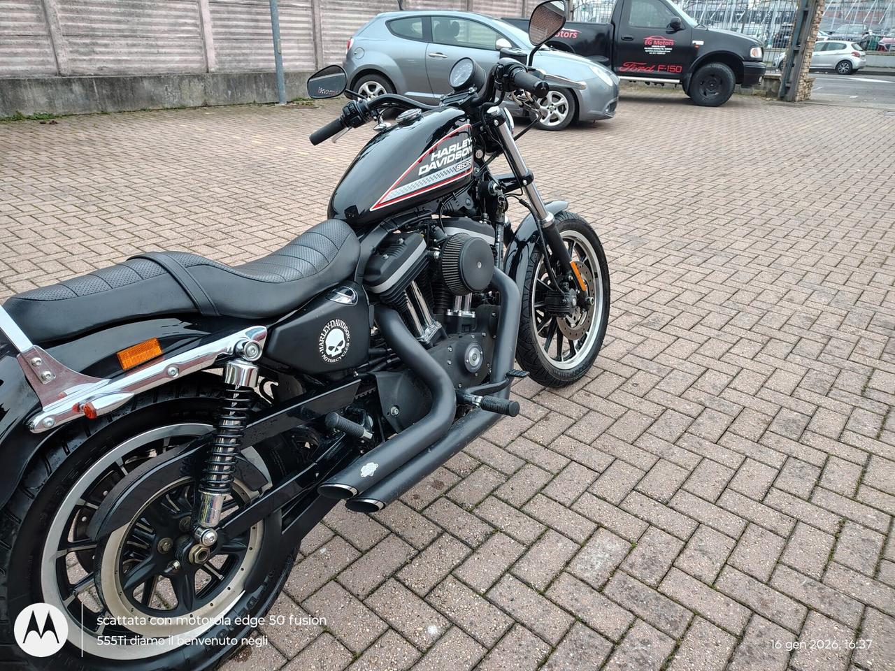 Harley-davidson 883 Sportster R PERMUTA