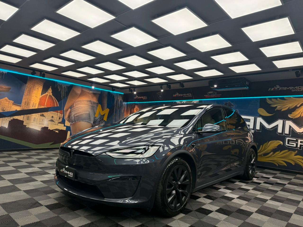 Tesla Model X LONG RANGE (734)