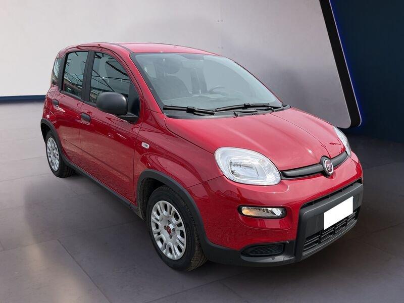 FIAT Panda My24 1.0 70cv Hybrid Panda
