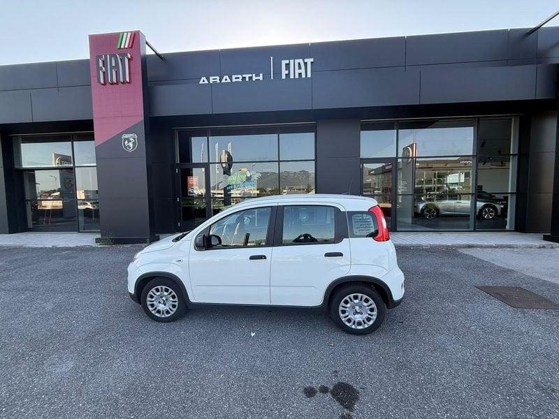 FIAT Panda NEW 1.0 70cv Hybrid PANDA