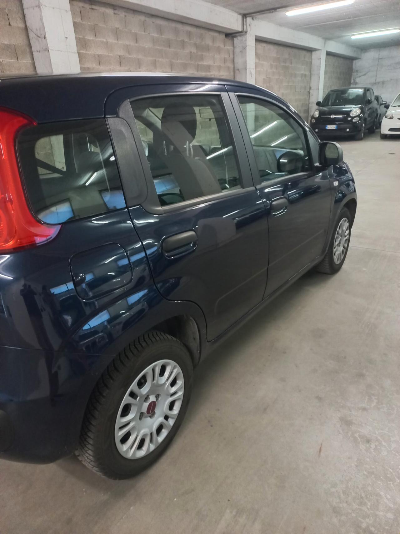 Fiat Panda 1.2 Pop modello Trussardi