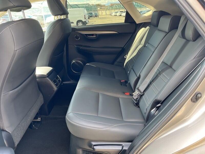 Lexus NX I 2018 2.5 Executive 4wd cvt