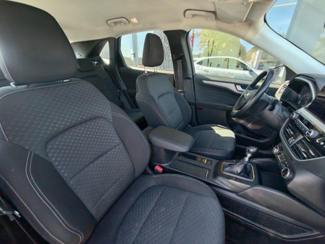 FORD Kuga 1.5 EcoBlue 120 CV 2WD Titanium Business