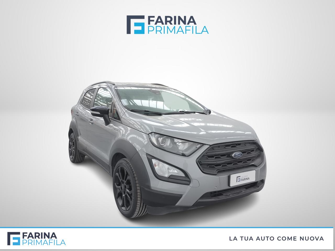 FORD EcoSport 2018 - EcoSport 1.0 ecoboost Active s&s 125cv