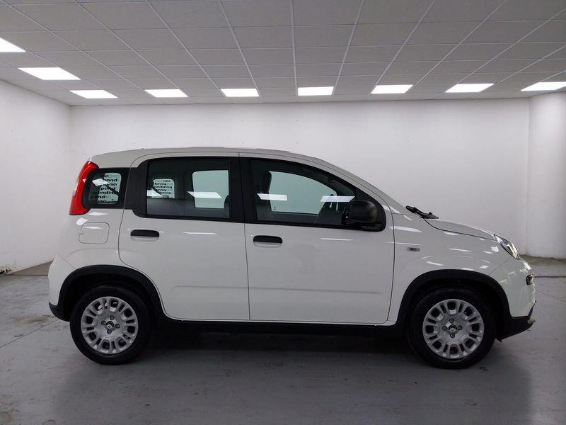 FIAT Pandina III 2024 Pandina 1.0 firefly hybrid s e s 70cv