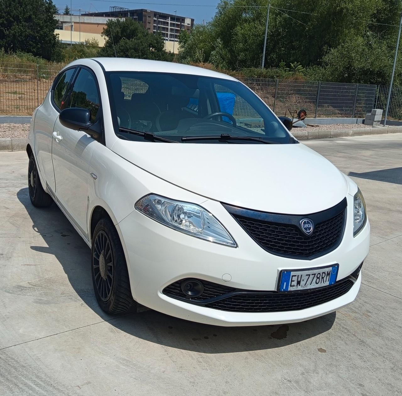 Lancia Ypsilon 1.2 69 CV 5 porte Elefantino