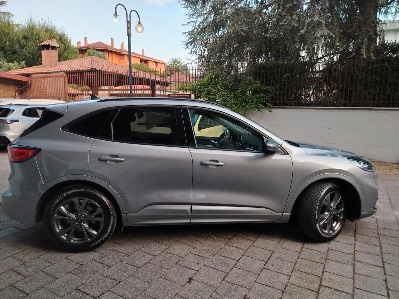 Ford Kuga 1.5 EcoBlue 120 CV aut. 2WD ST-Line