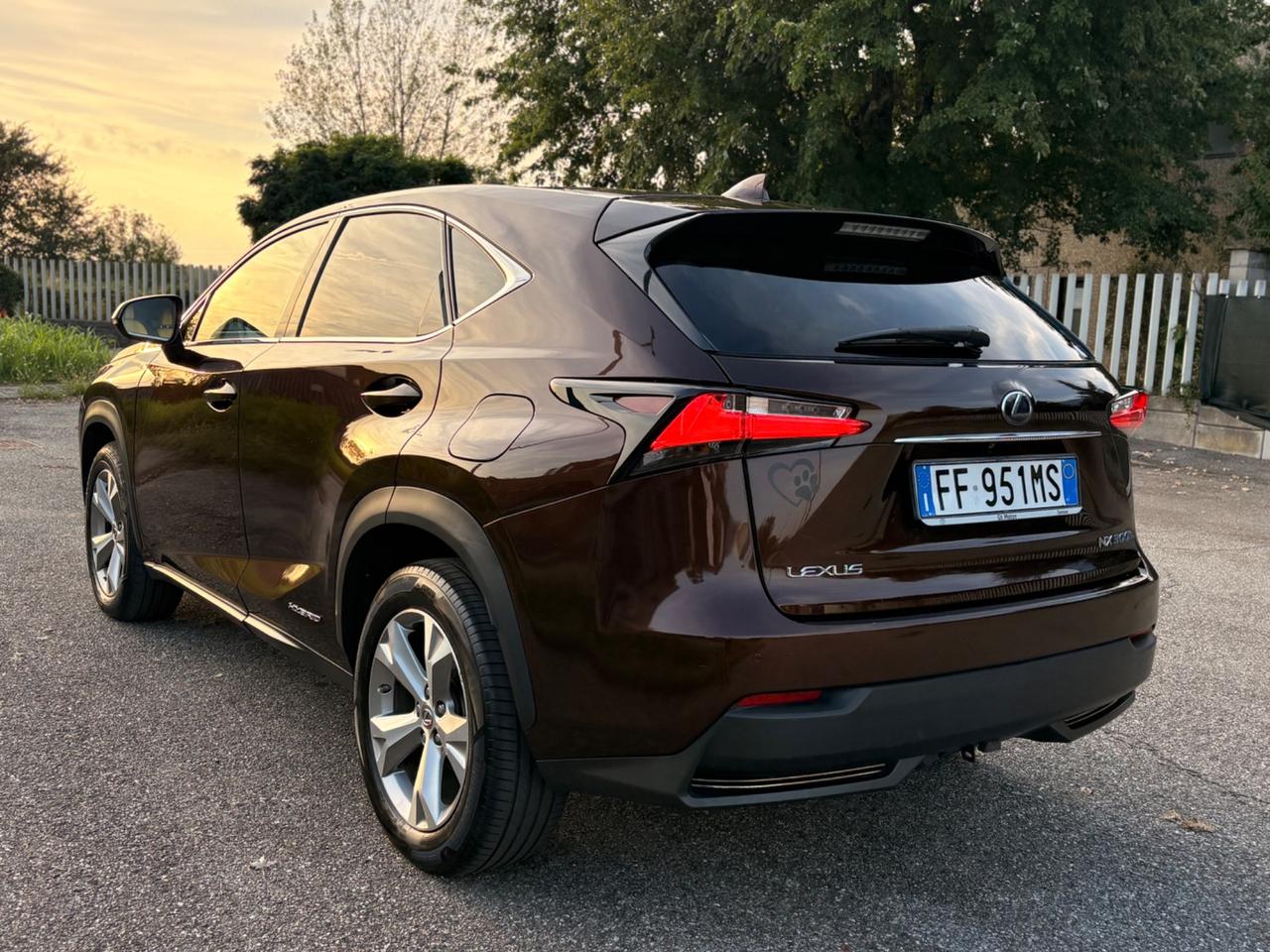 Lexus NX 300h Hybrid 4WD F-Sport 2016