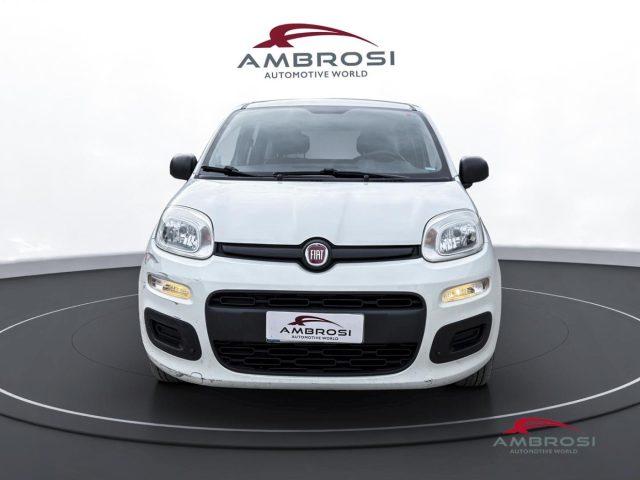 FIAT Panda 1.2 Easy - PER OPERATORI DEL SETTORE