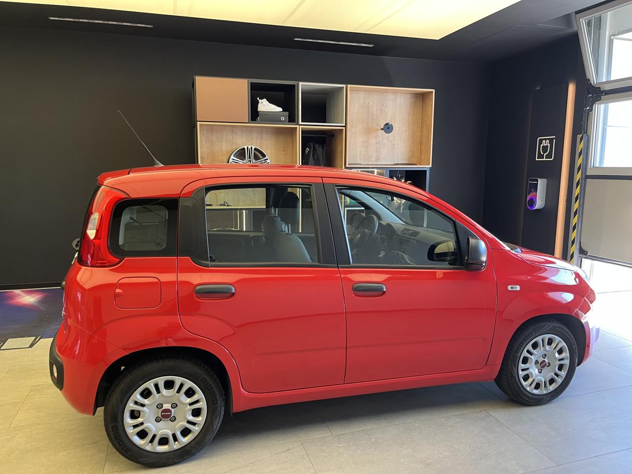 FIAT Panda III 2021 - Panda 1.0 firefly hybrid s&s 70cv