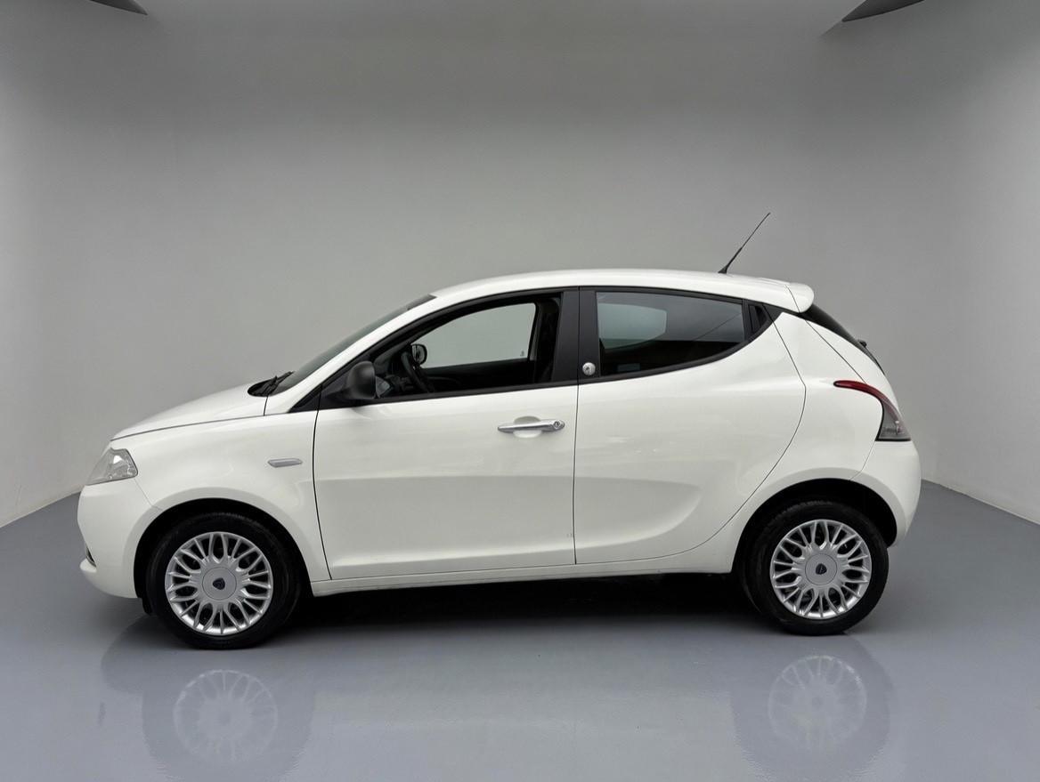 Lancia Ypsilon 1.2 69 CV GPL Ecochic Gold 2016