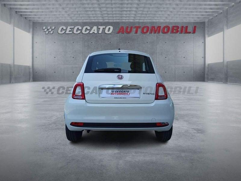 FIAT 500 500 1.0 hybrid 70cv