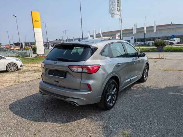 FORD Kuga 1.5 EcoBlue 120 CV aut. ST-Line