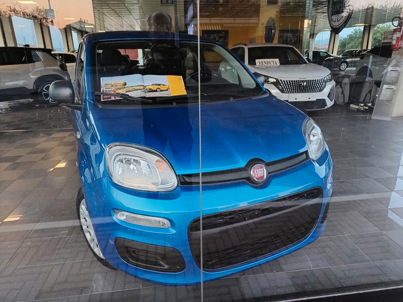 Fiat Panda 1.0 FireFly S&S Hybrid Pandina