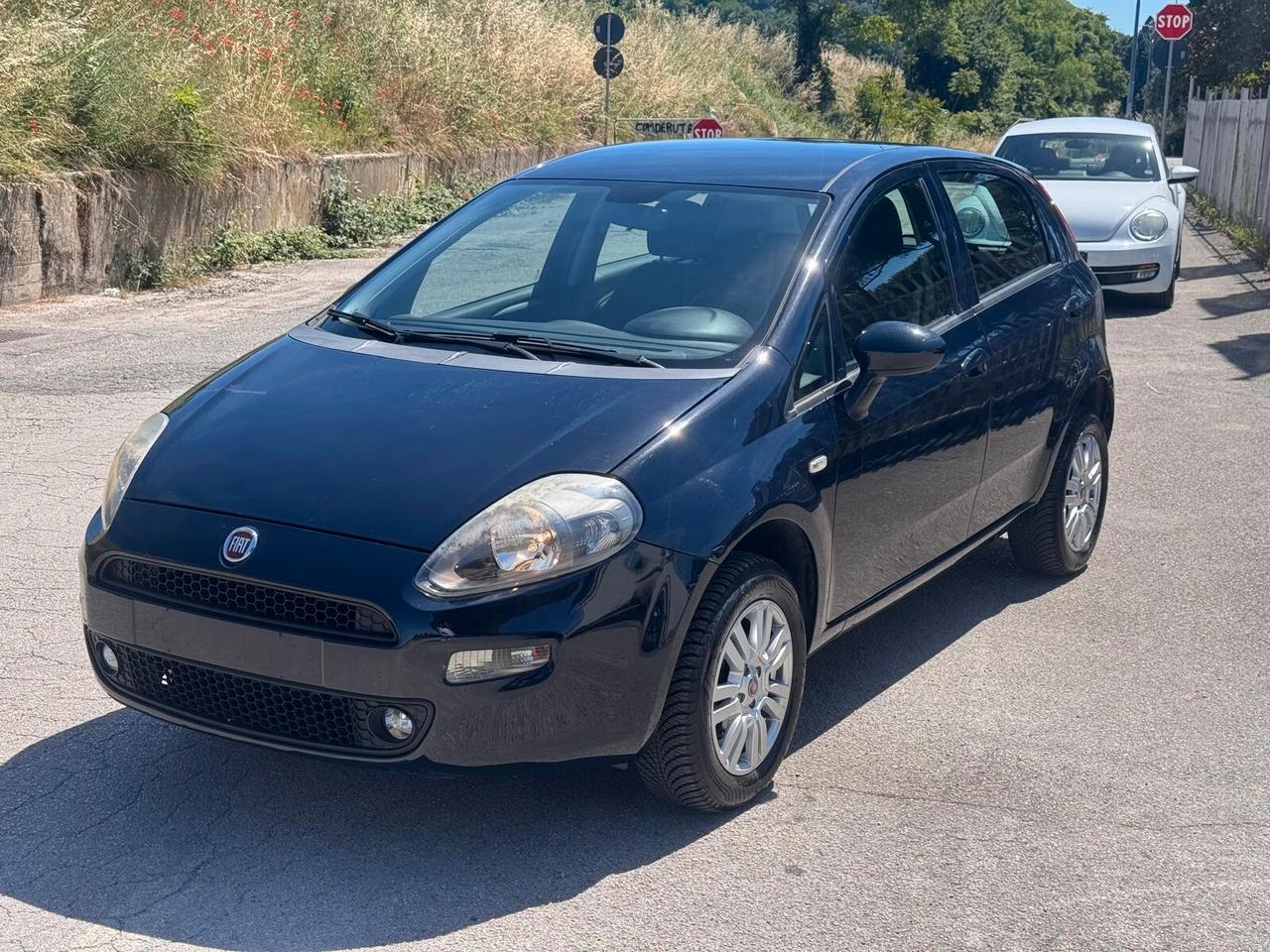 Fiat Punto 1.4 8V 5 porte Natural Power Lounge