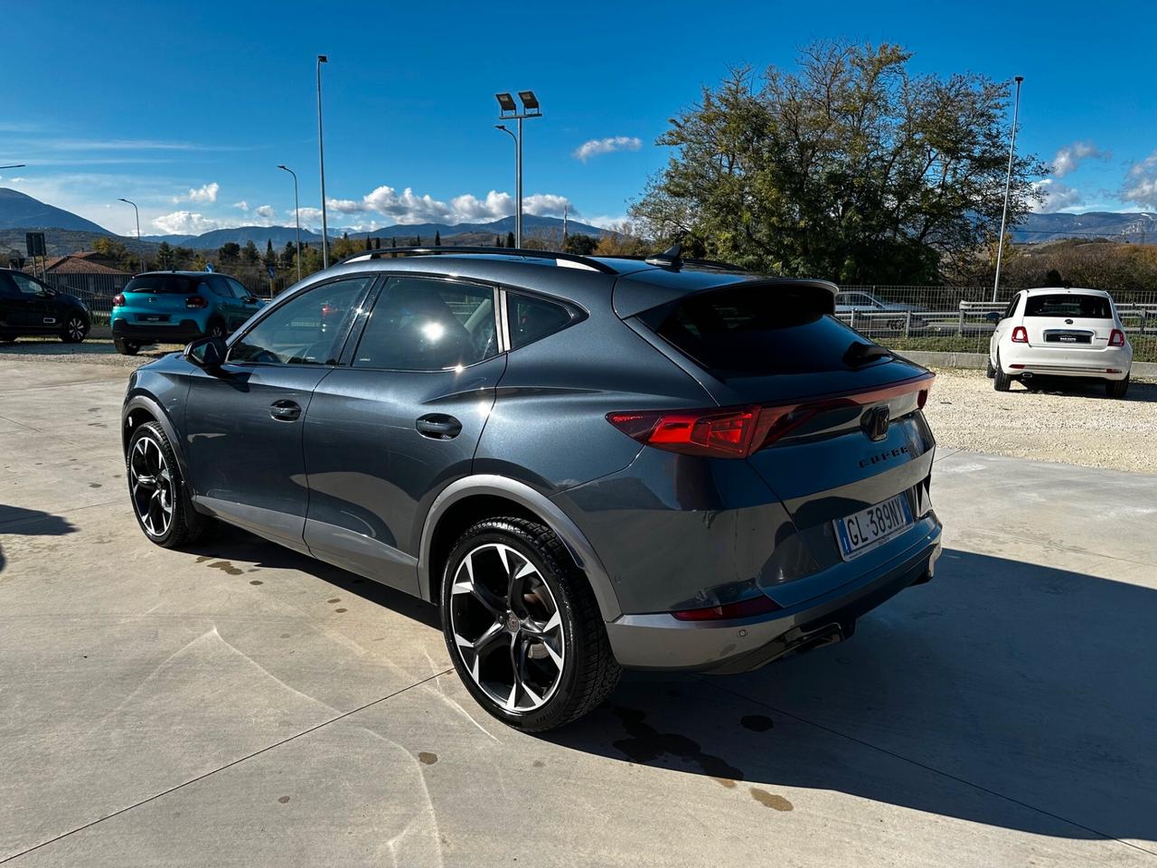 Cupra Formentor 2.0 TDI 4Drive DSG