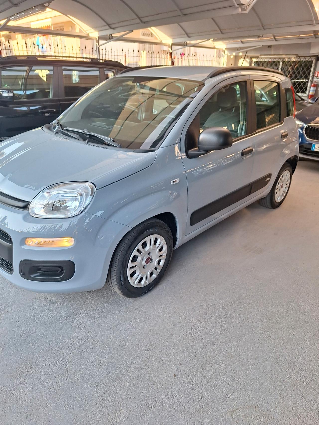 Fiat Panda 1.2 Easy 02/2020
