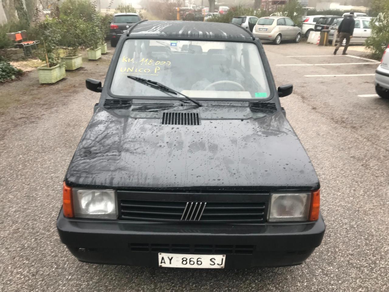 Fiat Panda 900 i.e. cat Young