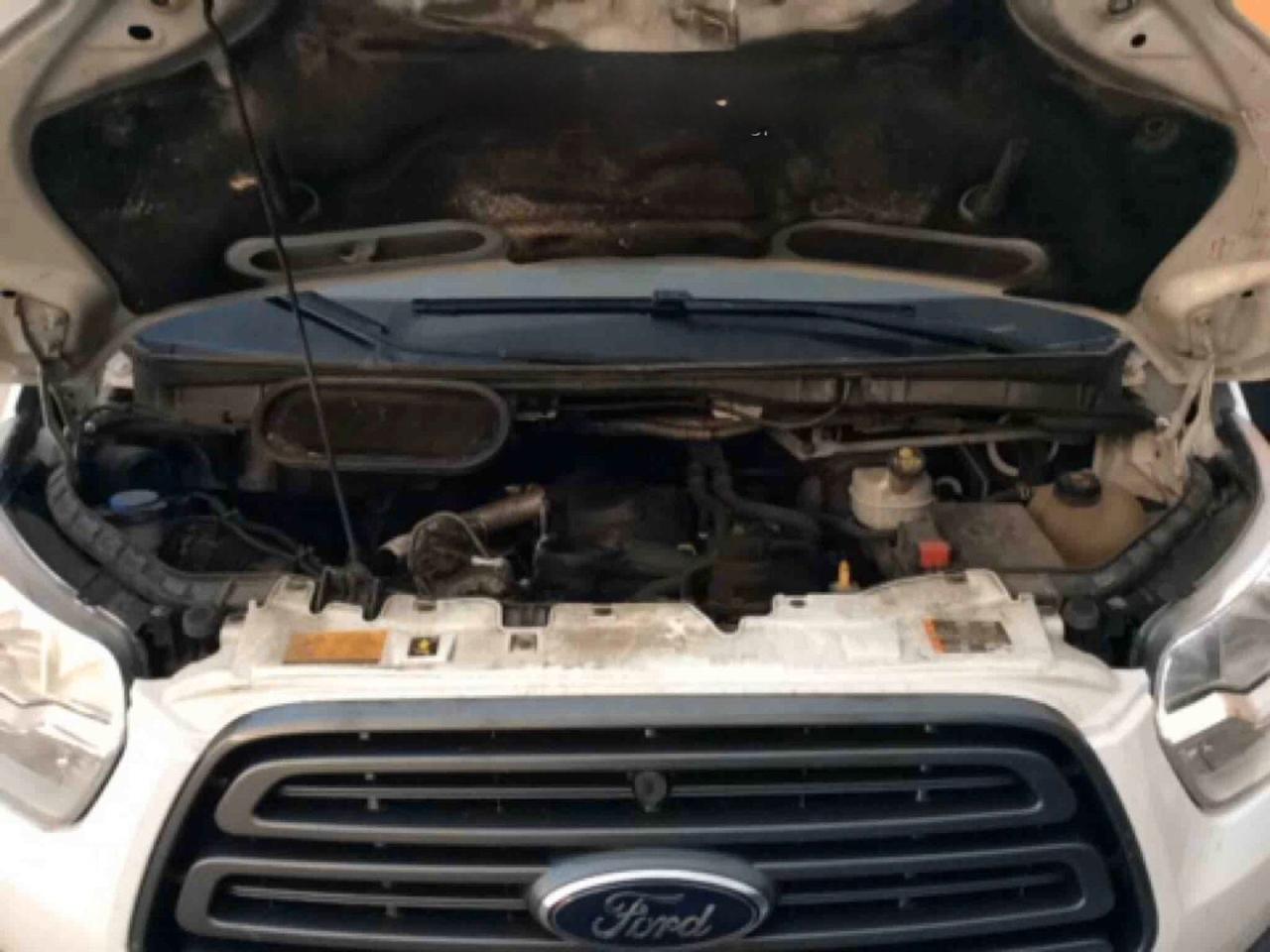 FORD TRANSIT 2.0tdci 170cv FRIGO CON PARATIA