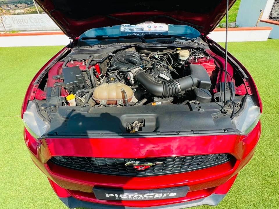 Ford Mustang Fastback 3.7 310CV