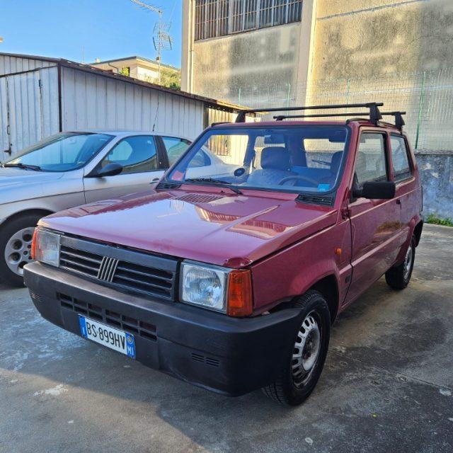FIAT Panda 1100 i.e. cat