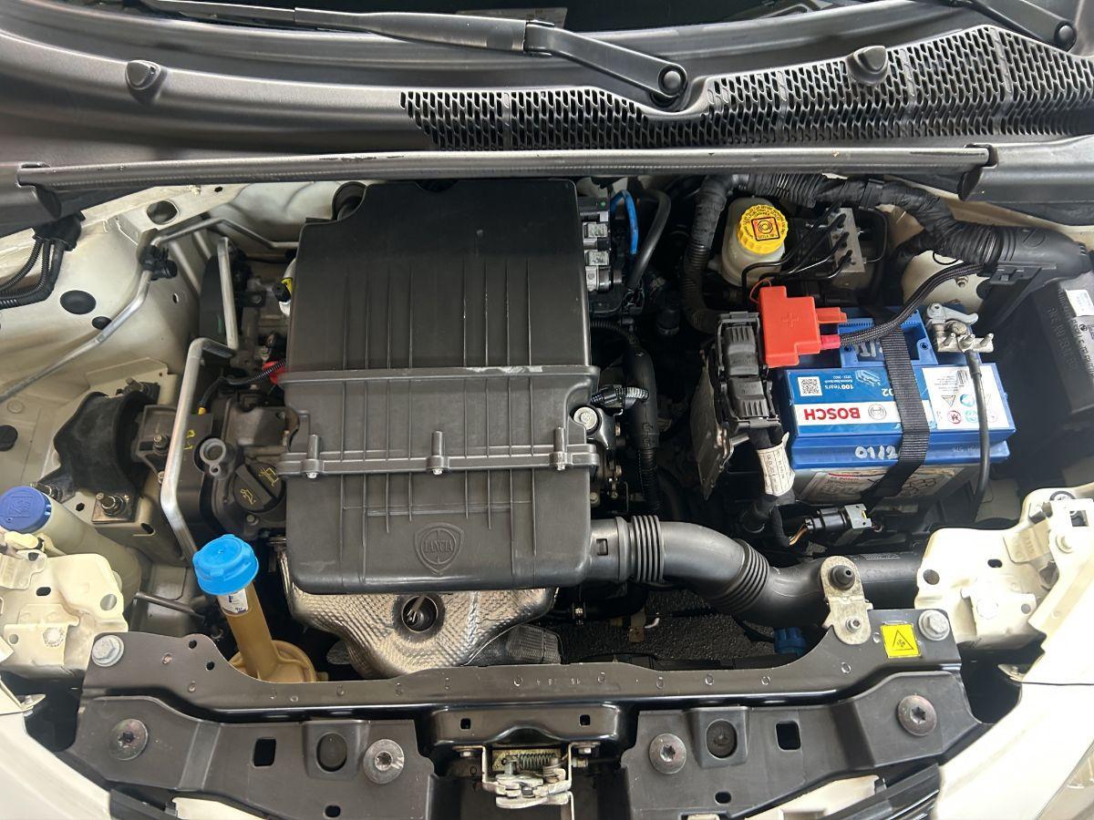 LANCIA - Ypsilon - 1.2 69 CV 5p. Platinum