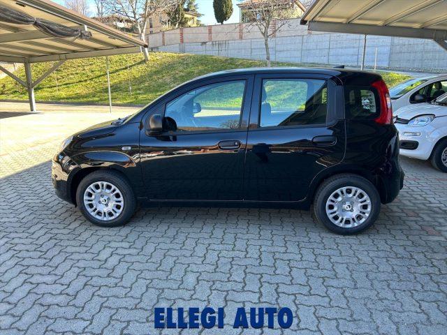 FIAT Panda PROMO FINANZ 1.0 HYBRID +PACK ICON KM 0