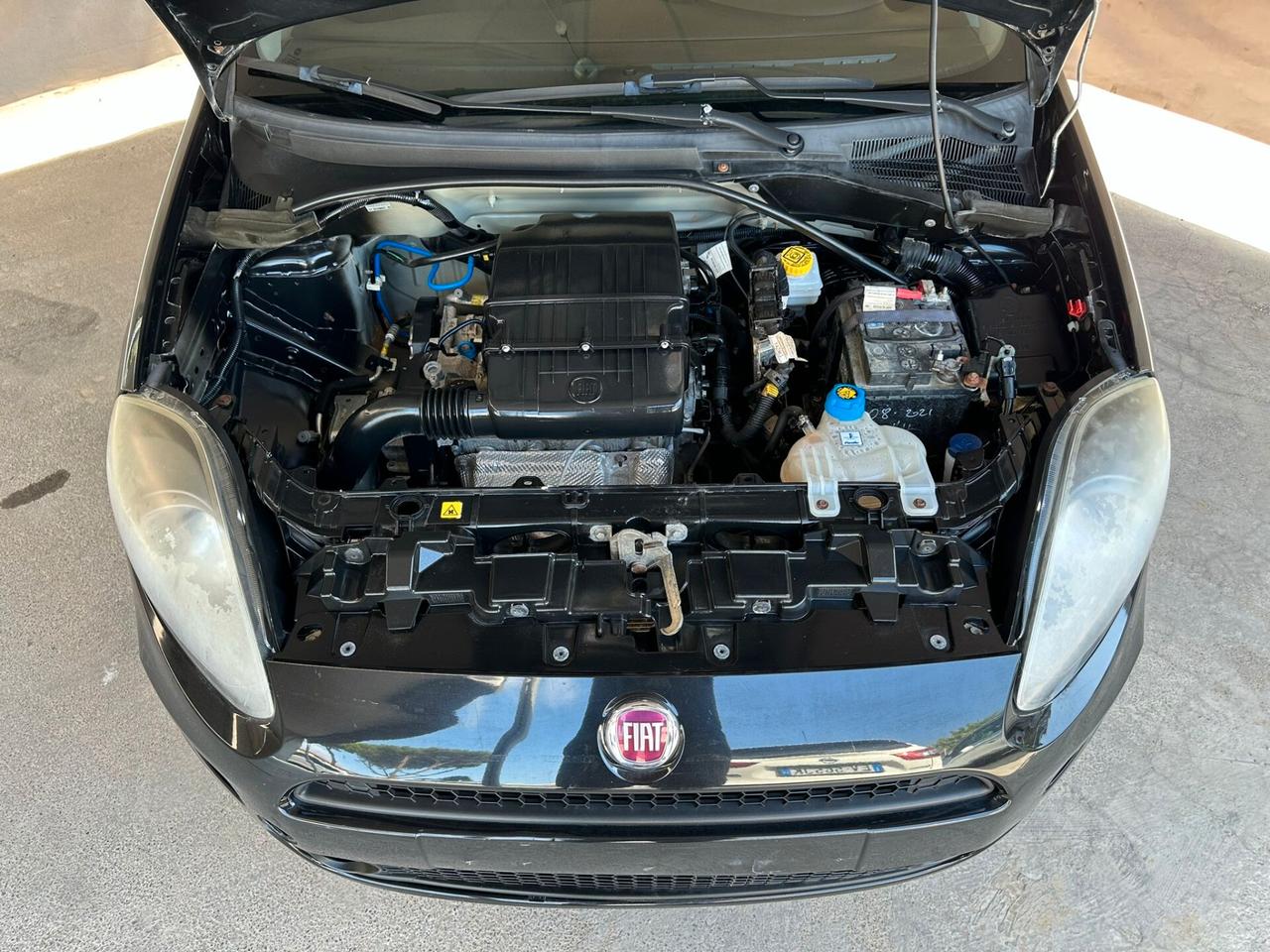 Fiat Punto 1.2 8V 5 porte Street