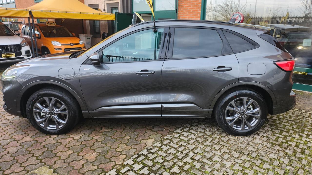 Ford Kuga 2.5 Plug In Hybrid 225 CV CVT 2WD ST-Line km3000