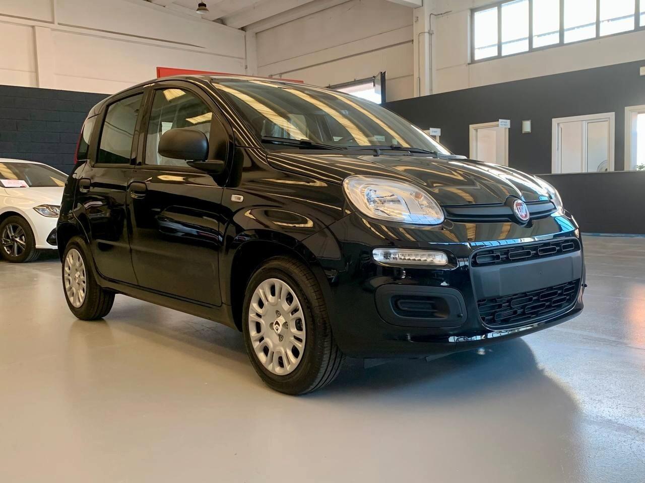 Fiat Panda 1.0 FireFly S&S Hybrid *PREZZO PROMO*