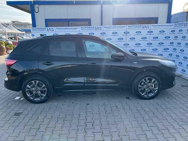 Ford Kuga 1.5 EcoBlue 120 CV aut. 2WD ST-Line X